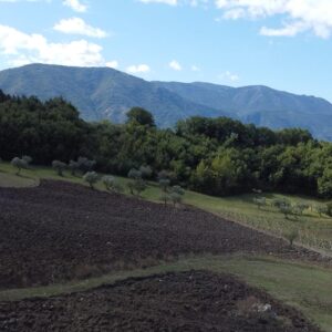 Aglianico - Nato Nudo - immagine 3